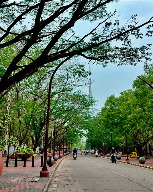 Kadri park